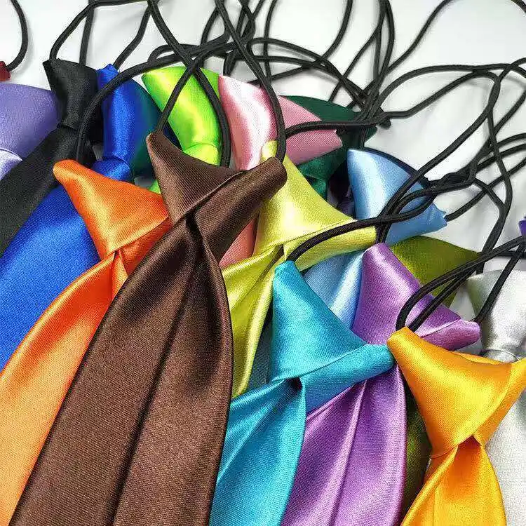 2022 Colorful Clip On Tie Security Ties For Men Women Doorman Steward Matte Black Necktie Black Funeral Tie Clothing Accessories