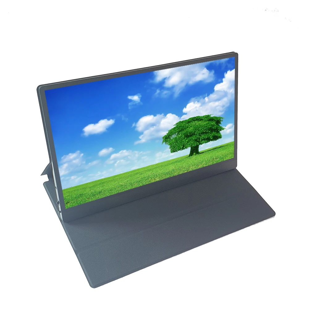 Cheap 13.3inch IPS 1920*1080 VESA Hole 100% SRGB Business Laptop Desktop Computer Smart Phone External Display Portable Monitor