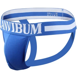 Big Mens Gay Jockstrap Underwear Sexy Tanga Hombre Transparent Cueca Masculina Sous Vetements Homme