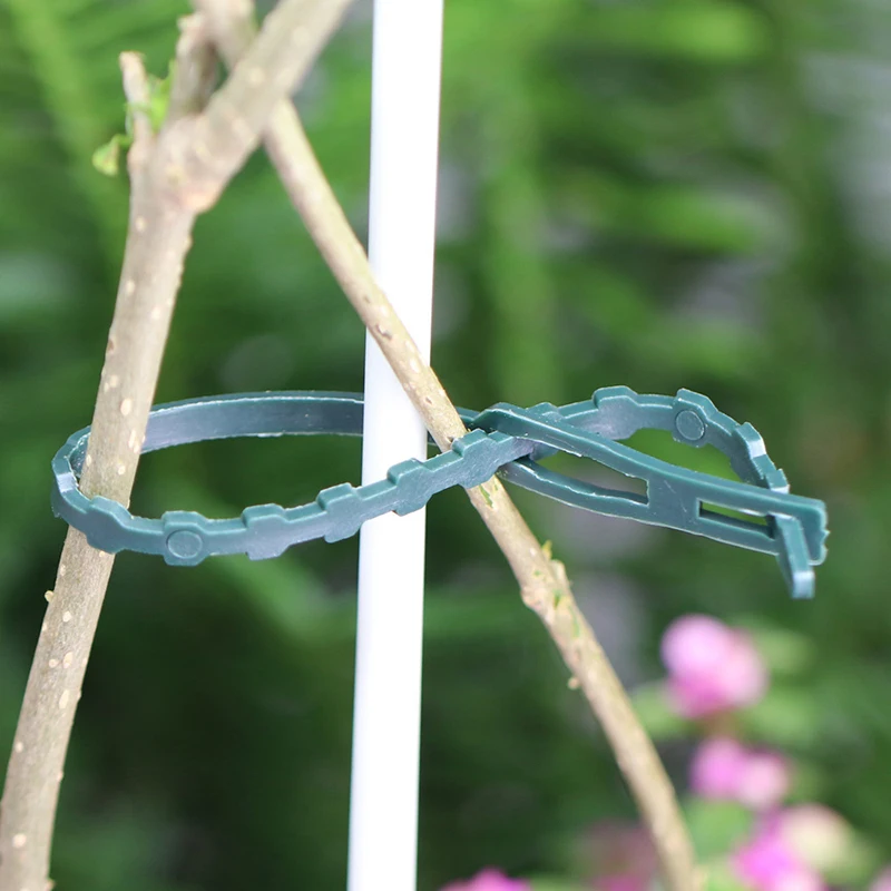 50 Stuks Verstelbare Plastic Plant Kabel Bindt Herbruikbare Tuin Boom Klimmen Ondersteuning Plant Wijnstok Tomaat Clip Plant Riemen Gereedschap
