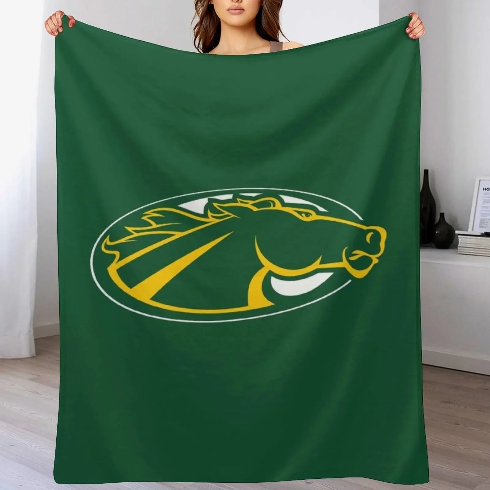 Skidmore College Throw Blanket Flannels Luxury Designer for sofa funny gift Blankets