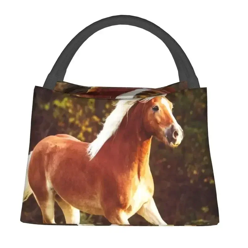 حقائب غداء معزولة حراريًا من Haflinger Horse للنساء، حاوية قابلة لإعادة الاستخدام للتخييم والسفر، صندوق طعام متعدد الوظائف للوجبات