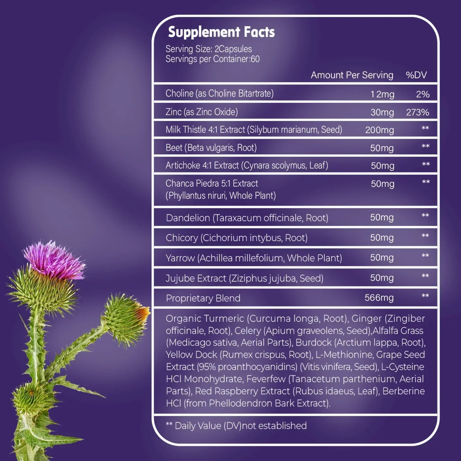 إزالة السموم من الكبد والتطهير - يدعم صحة الأمعاء والهضمية ومكمل التمثيل الغذائي المتوازن #2