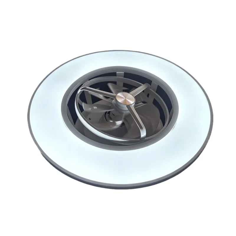 360 ° Shaking Multi Angle Ambient Ceiling Fan Lights Minimalist Indoor Decorative Home Lighting Luminaires Bedroom Cafe Parlor