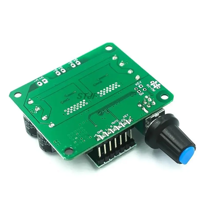 Bluetooth 4.2 TPA3110 30w+30W PBTL Digital Stereo Audio Power Amplifier Board Module 12V-24V car for Portable USB Speaker