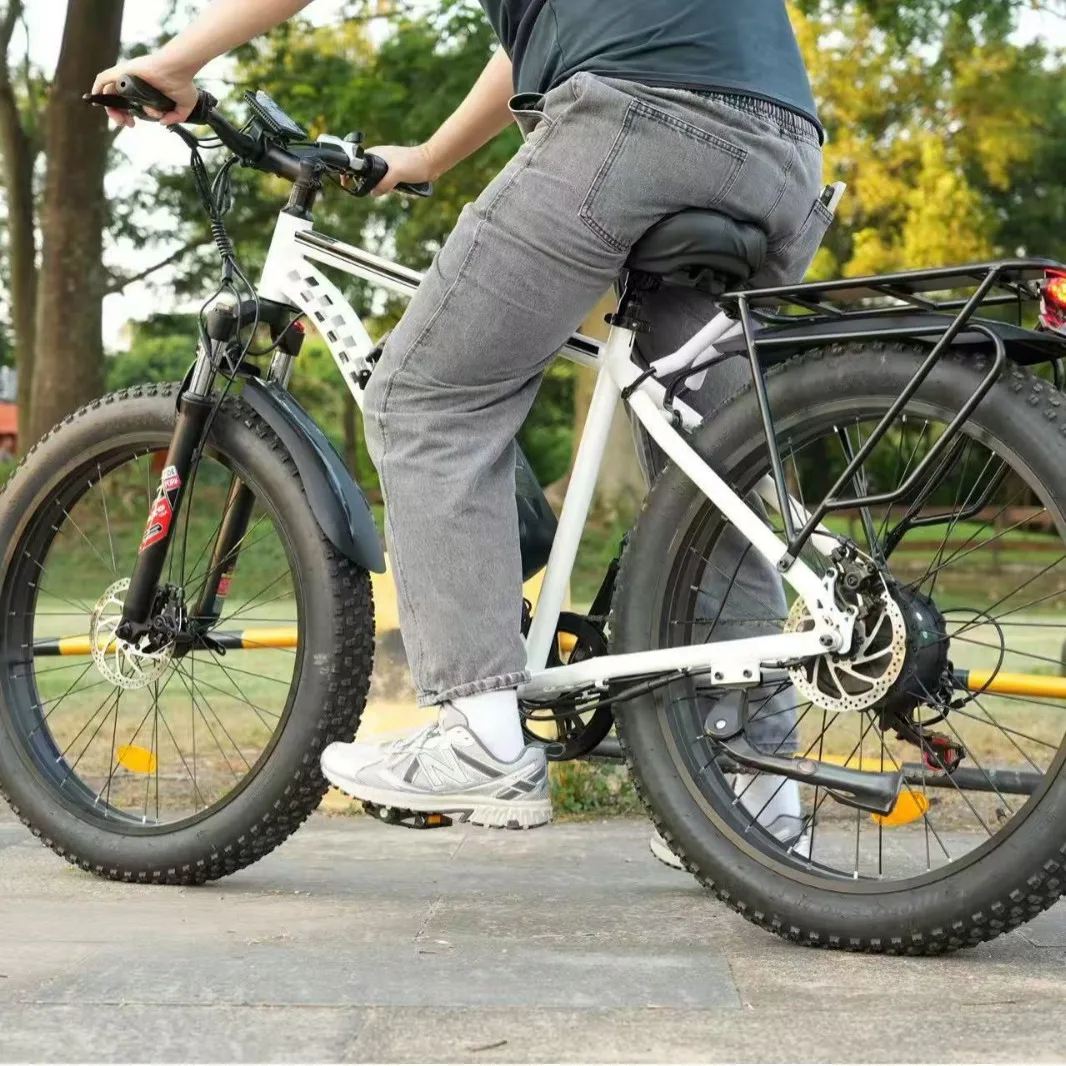 EB26 Electric Bike 1000W 48V 7 Speed with Front Suspension