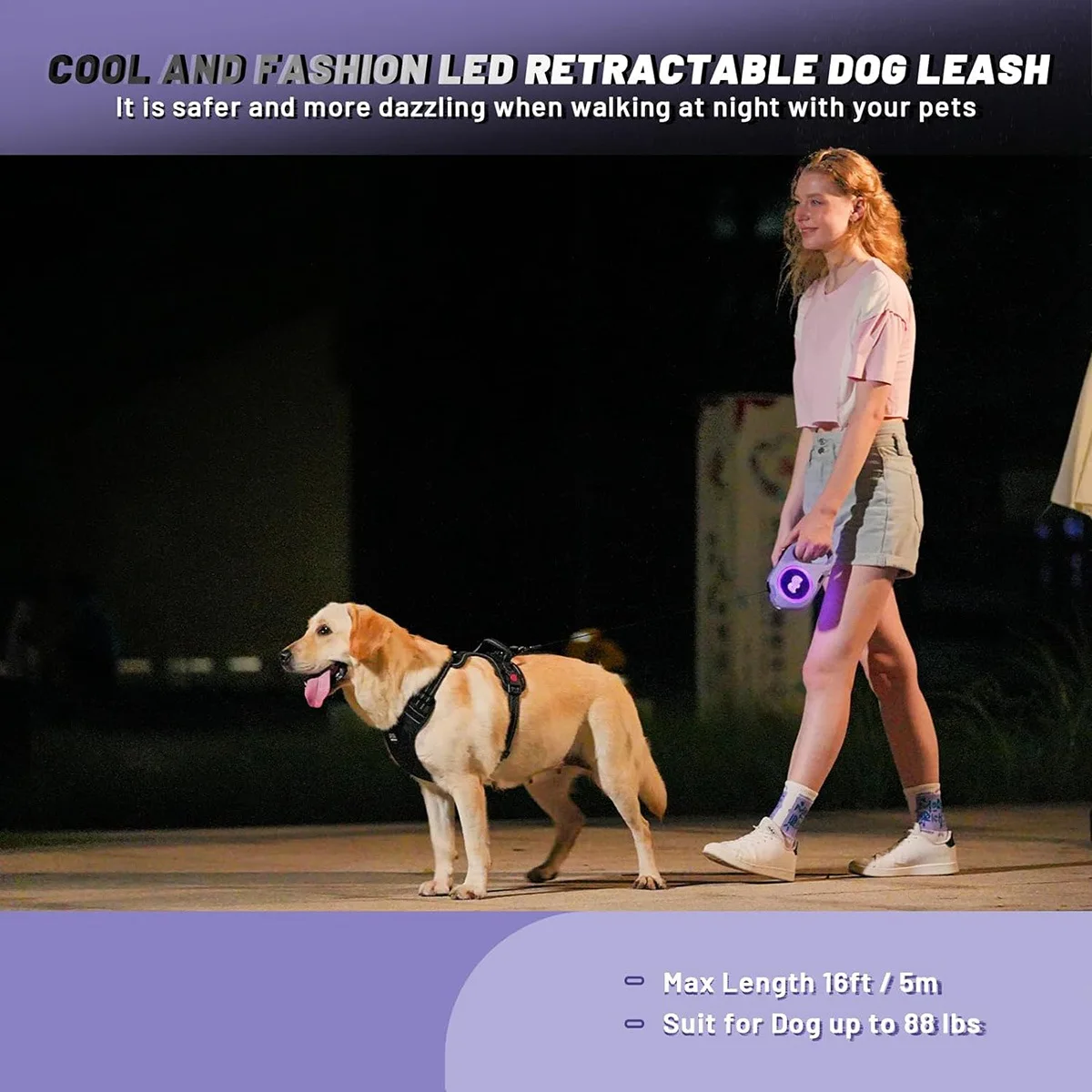 

AA50-Retractable Dog Leash With Rechargeable LED Light - 16 Ft Strong Nylon Tape For Night Walks Up To 88Lbs Pet Purple Durable