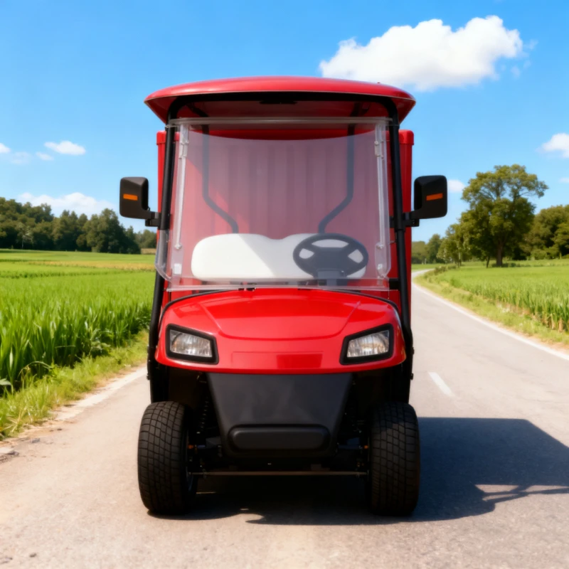 العلامة التجارية الجديدة 48 فولت 4WD عربة جولف إطار من الألومنيوم 63 km/ساعة التخصيص المهنية بالجملة بعد البيع عربة جولف مضمونة #4