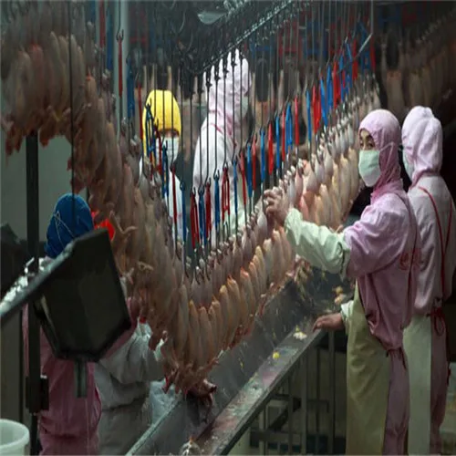 Componentes do motor central e rolamentos completos de equipamentos agrícolas de frango e aves