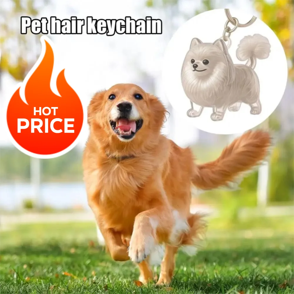 

Cartoon Dog Shape Dog Hair Storage Box Hair Grooming Transparent Pet Hair Keychain Keyring DIY Handmade Puppy Pendants Backpack