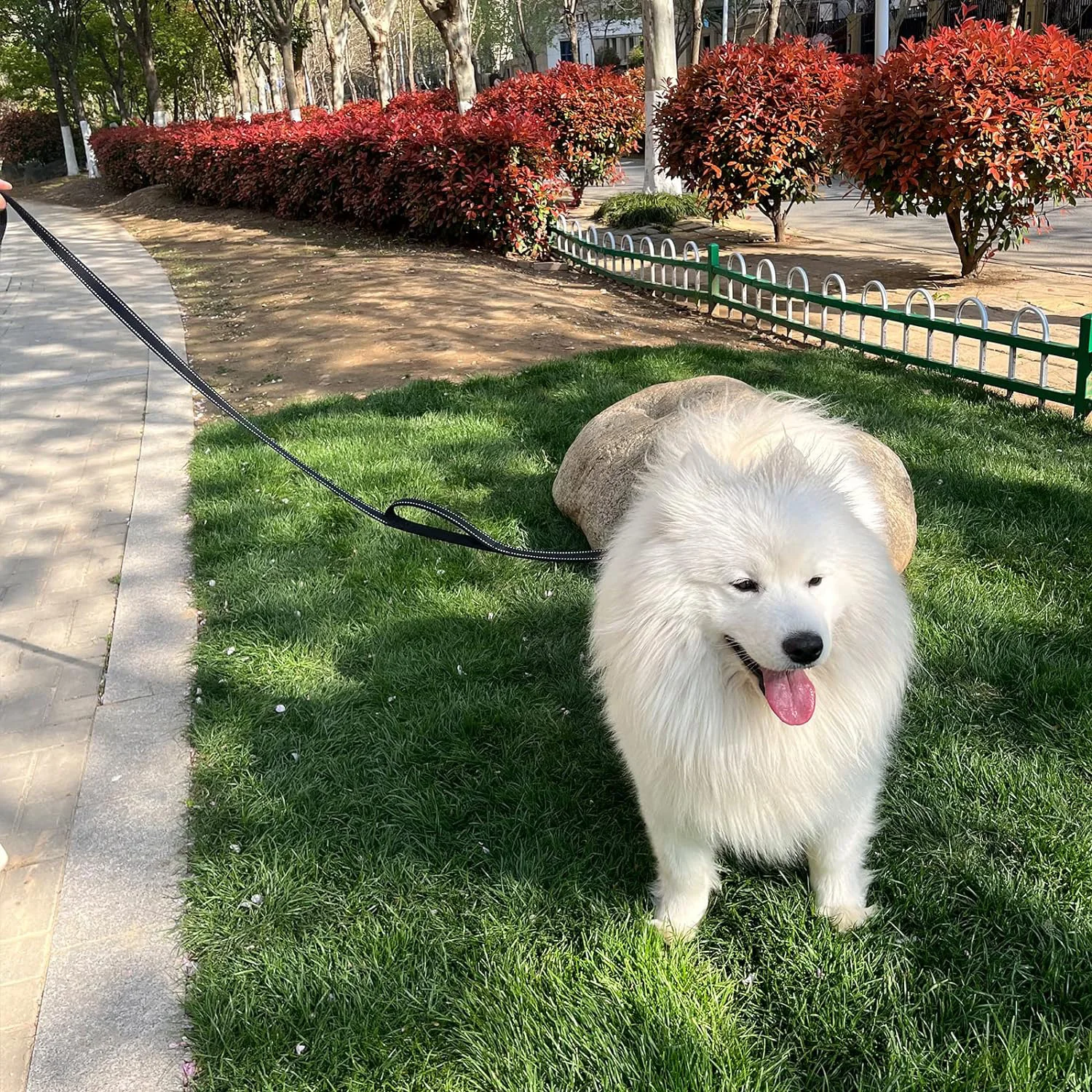 Thumbnail 4 - #23 Reflective Dog Leash Comparison Guide