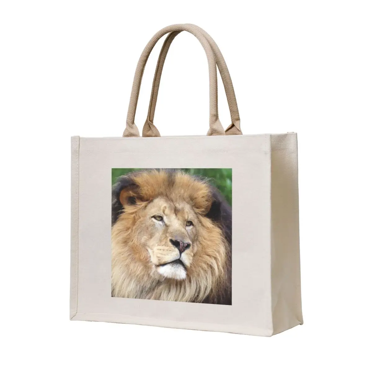 

Luke the African Lion at the National Zoo Tote Bag the tote bag Shopper bag cute pouch