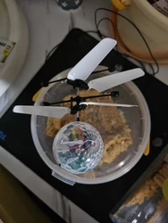 Imagen de reseña 1