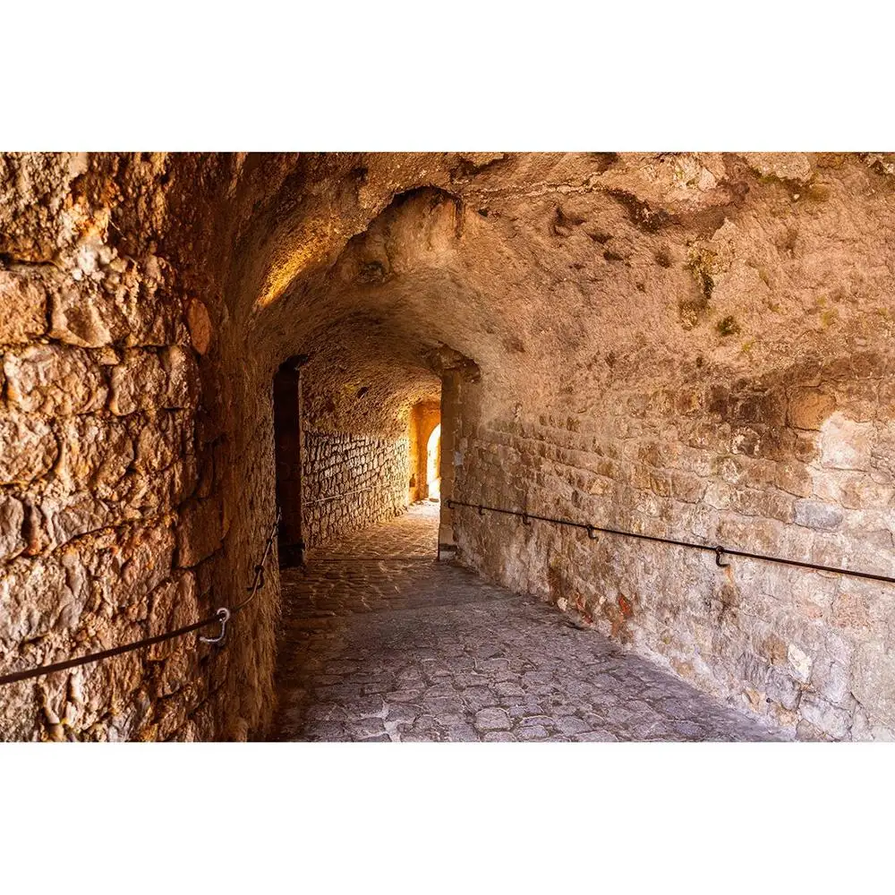 Long Cave Corridor Door Photo Background Vinyl Backdrop Photozone Photography Studio Props for Children Portrait Photobooth