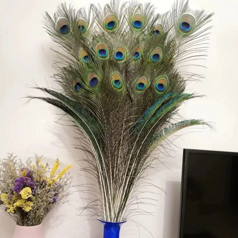 

Large Size Natural Peacock Feather Ornament Living Room Internet Celebrity DIY Material Jewelry Big Peacock Feather Decorations