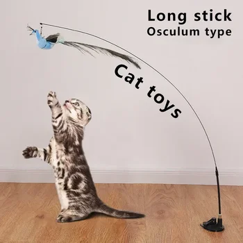 Bird Feather Cat Wand 1