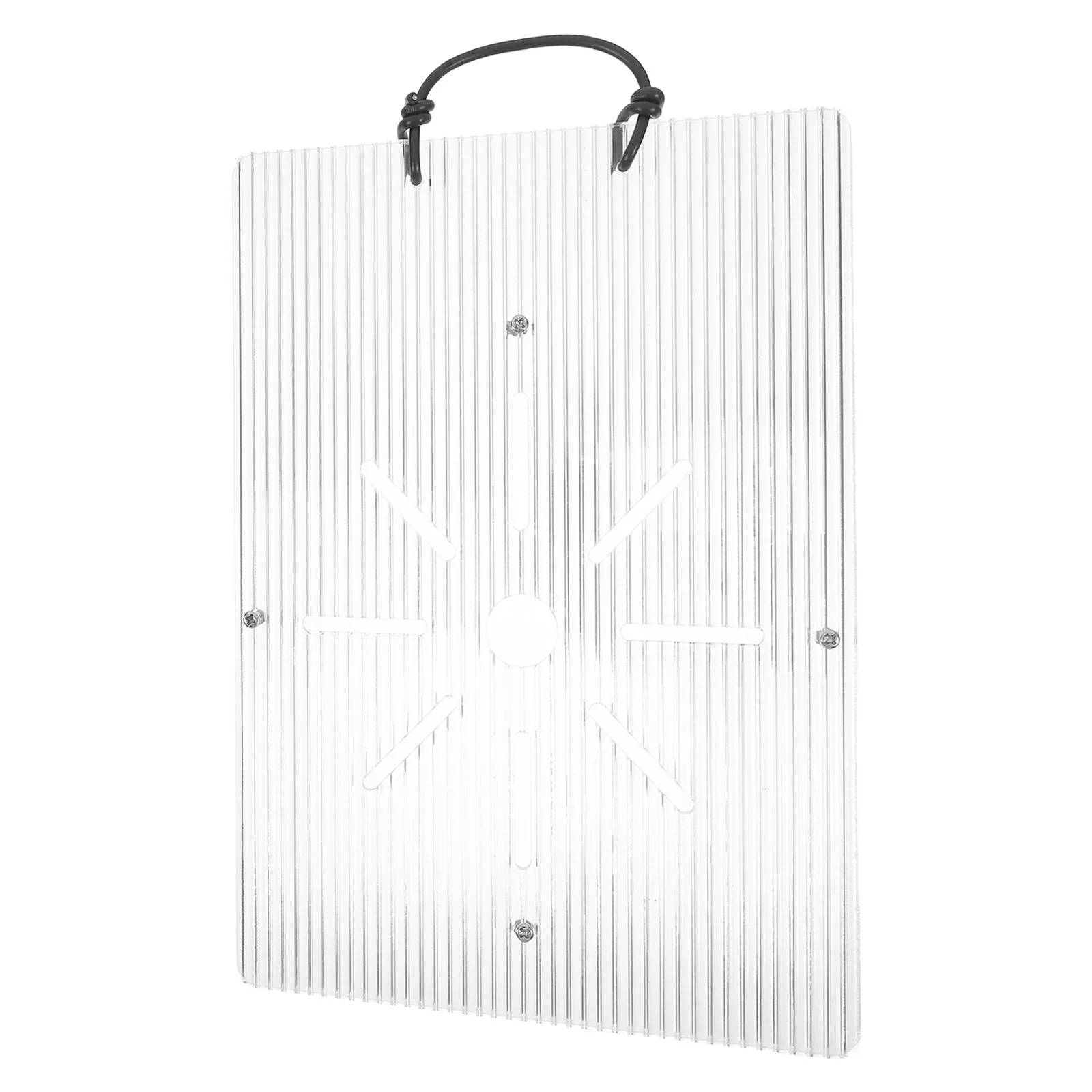 

Acrylic Hanging Plate Wall Planter Indoor Vertical Tool Planters for Plants Transparent Staghorn Fern Long Lasting Space Saving