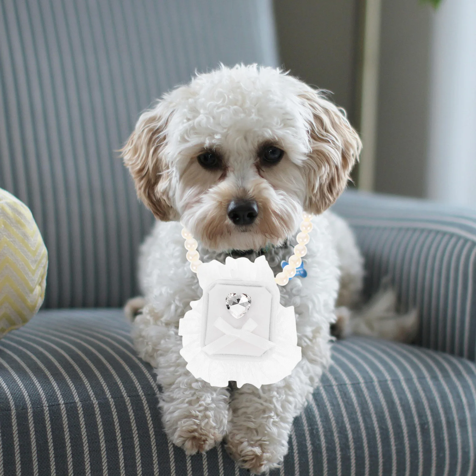 

Wedding Bearer Box Dog Collar Necklace Pet Accessories Durable Storage Case Pearl Dog Wedding Jewelry Pet Ring Box Durable