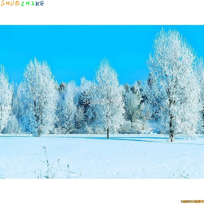 الشتاء الغابات الثلوج الطريق خلفيات للتصوير الفوتوغرافي عدم وضوح المشهد الثلج الطريق شجرة التنوب خلفية الصورة XD-08