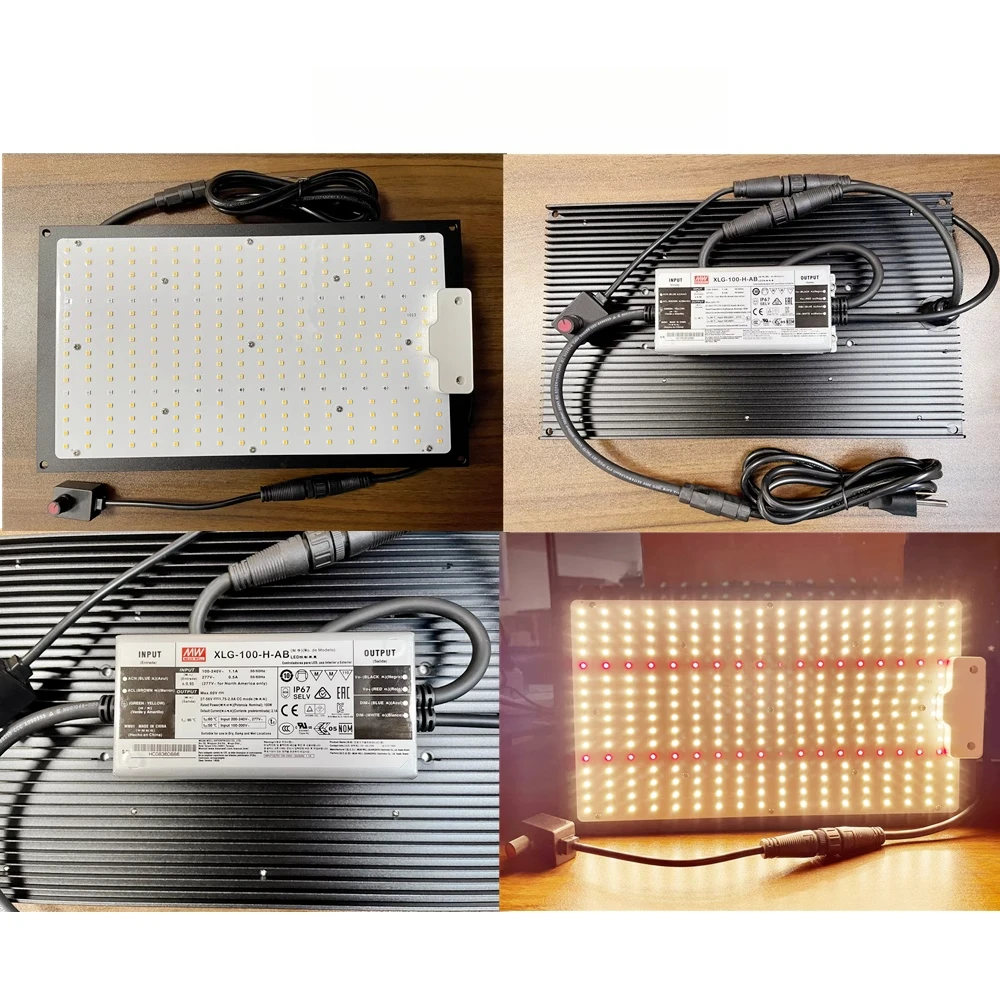 Luz de crescimento de plantas placa quantum estufa mudas suculentas luz de enchimento