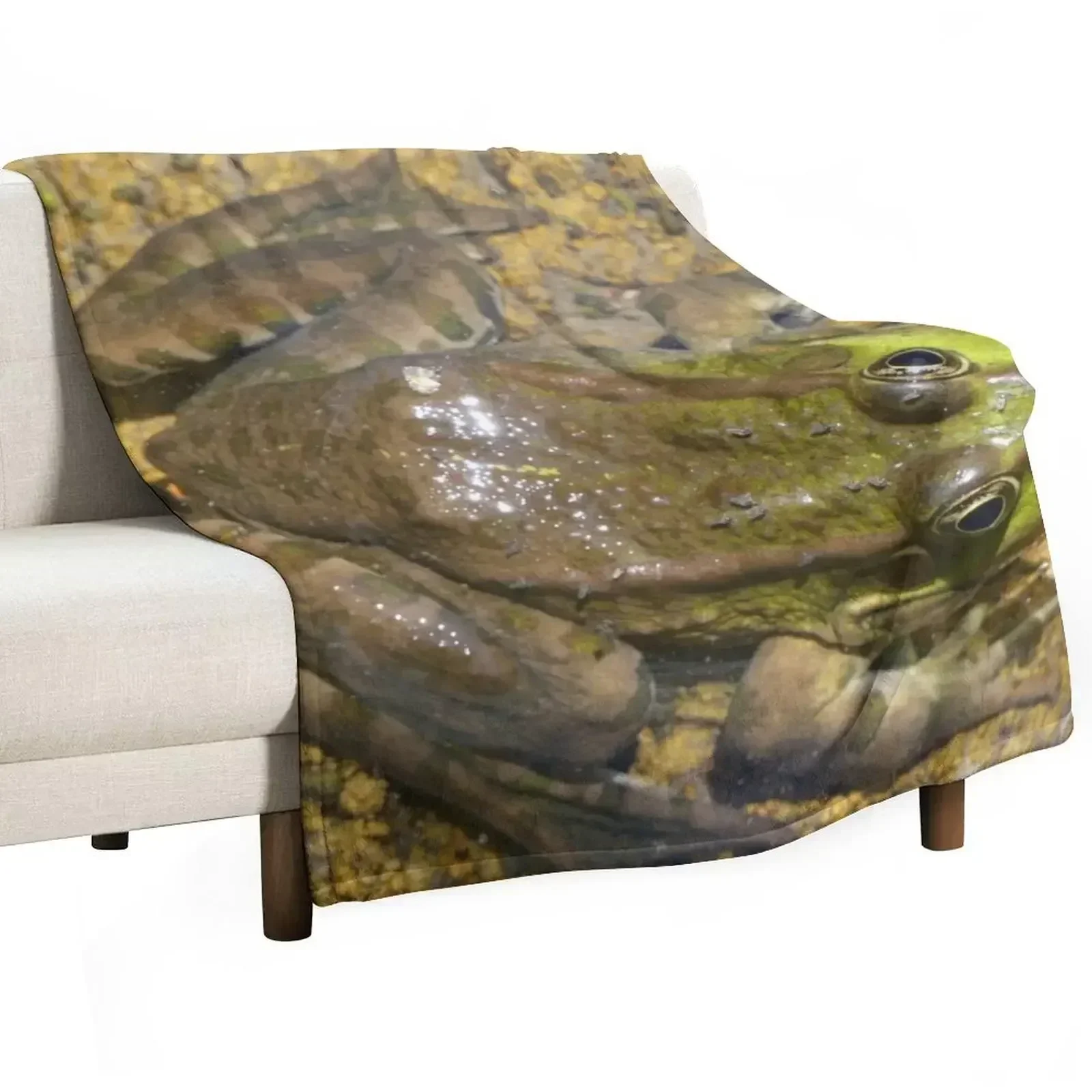 Green frog view from above Throw Blanket Designers Summer Beddings Flannel Fabric Soft Beds Sofa Thins Blankets