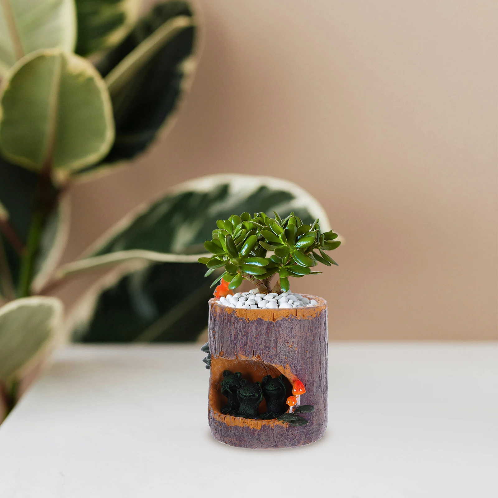 

Resin Flower Pot Durable Anti-corrosion Plant Pots for Frog Holder Succulents Storage Box Terrarium