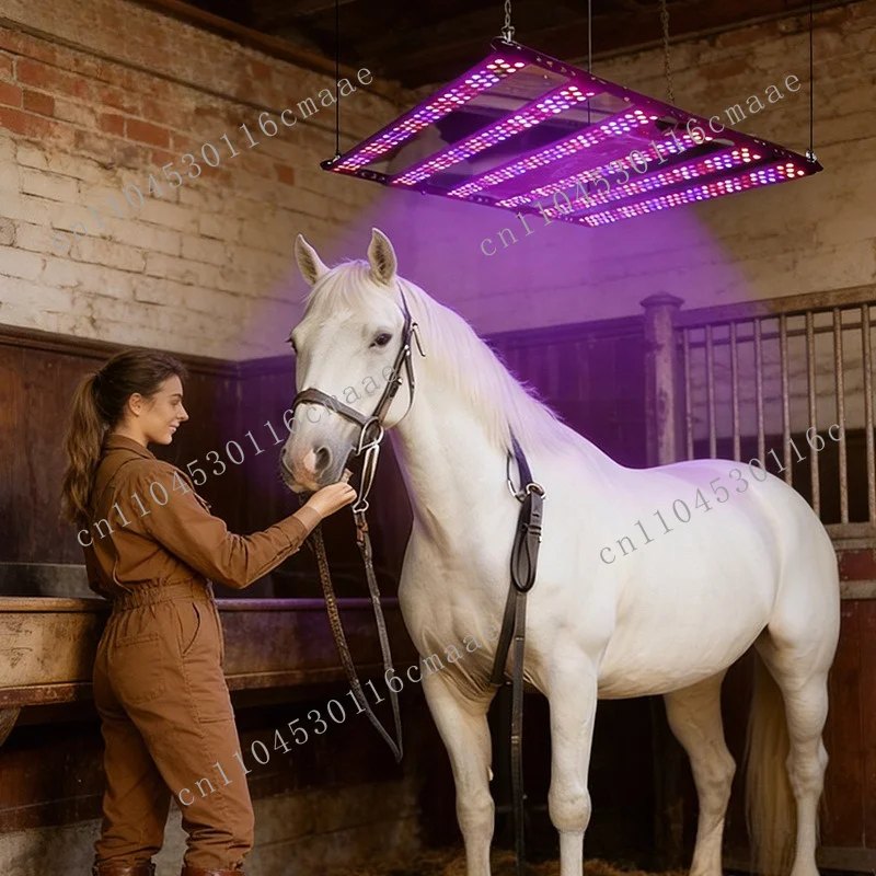 Stables Stables Red Light Blue Light Indoor Physiotherapy Muscle Relaxation Remote Control Timing Adjustable