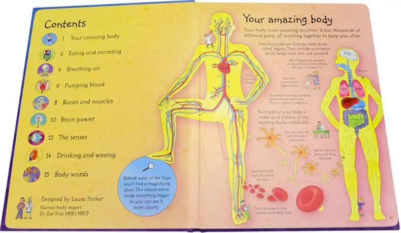 Usborne Veja Dentro do Seu Corpo Olhe Dentro Para Revelar os Segredos do Corpo Humano