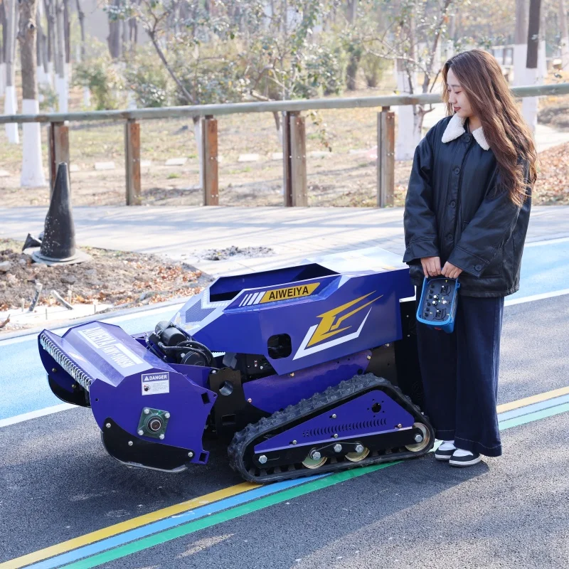 Customized CE Certified Euro V Emission All-Terrain Self-Propelled Four-Stroke Cycle 24V Voltage