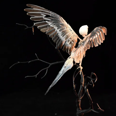 앵무새 표본 진짜 Melopsittacus Budgerigar Budgie 과학 교육을위한 투피스 홈 장식품 조류 미니어처 장식