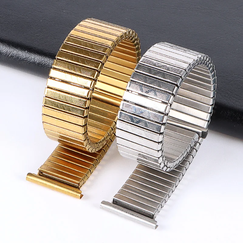 Stainless Steel Elastic Watch Band