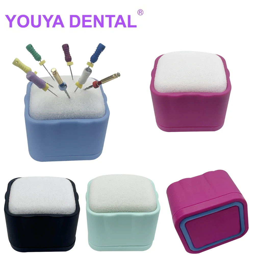 1Pcs Dental Endo Files Clean Stand Holder Endodontic Organizer Odontologia Instruments Tools Storage Box Dentistry Accessories