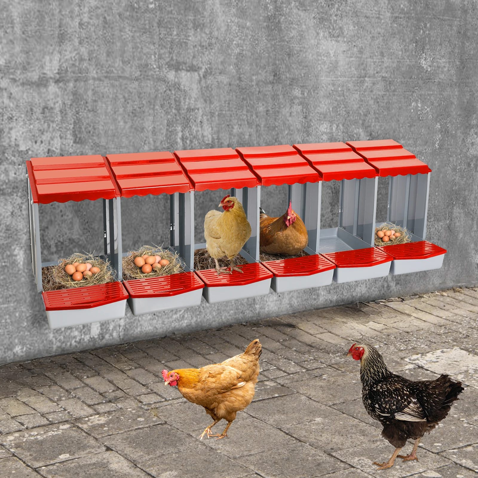 

Spacious Poultry Laying Box With Independent Compartments, Promotes Air Circulation & Protects Eggs From Crushing