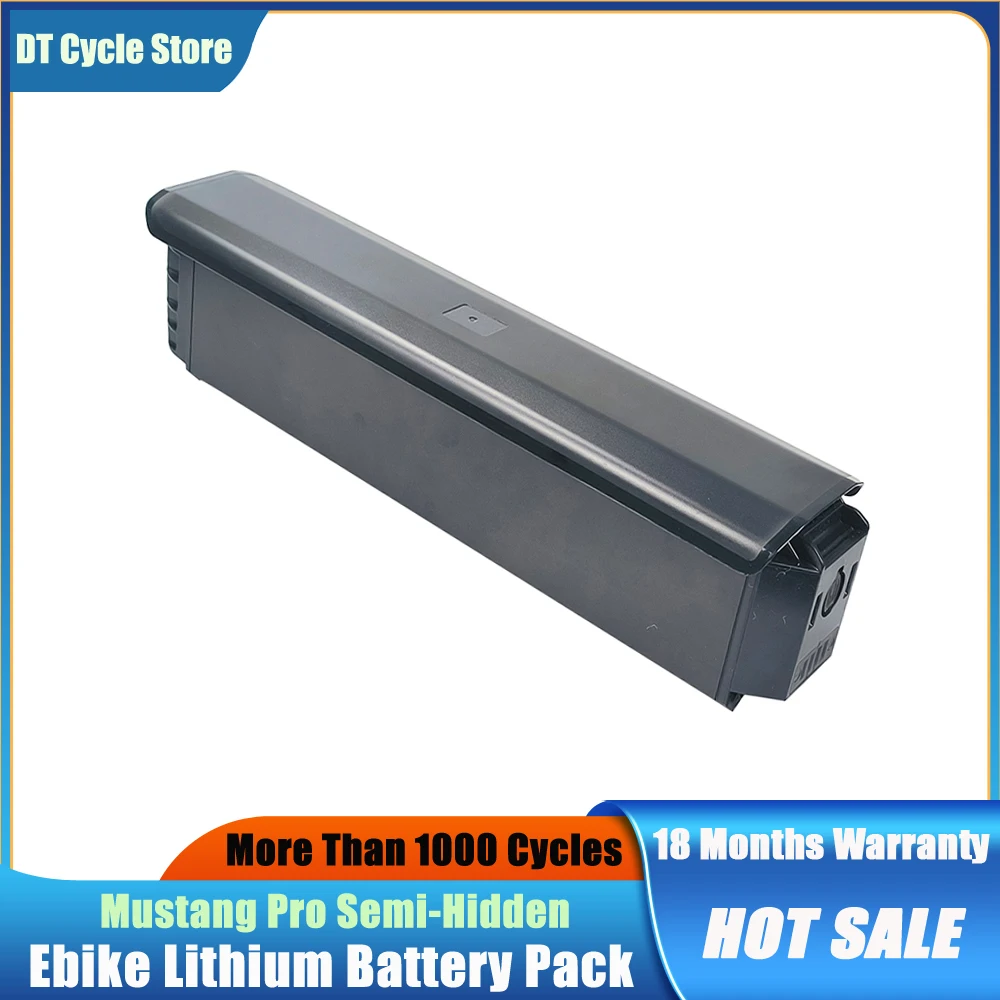 

Removable Li-ion Battery Pack Inner Tube for Electric Comfort Bike Backup Part 48V 14.5Ah 696Wh Vonax USA EF-01 750W