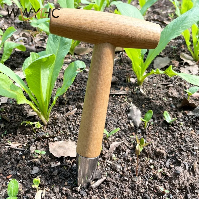 Suitable for T Handle Garden Hole Puncher Dibber Planter Tool Sowing Fertilizing Transplanting Seedlings Lawn with Wooden Handle