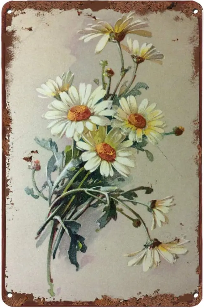Vintage Tin Sign Flower White Daisy Dew Drop Metal Retro Wall Decor Home Cafe Office Store Pub Club Gift Plaque Sigs Dimension S