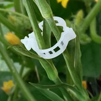 Wholesale Plant Support Clips Reusable Plastic Plant Vine Protection Grafting Fixing Tools for Vegetable Tomato Garden Supplies 5