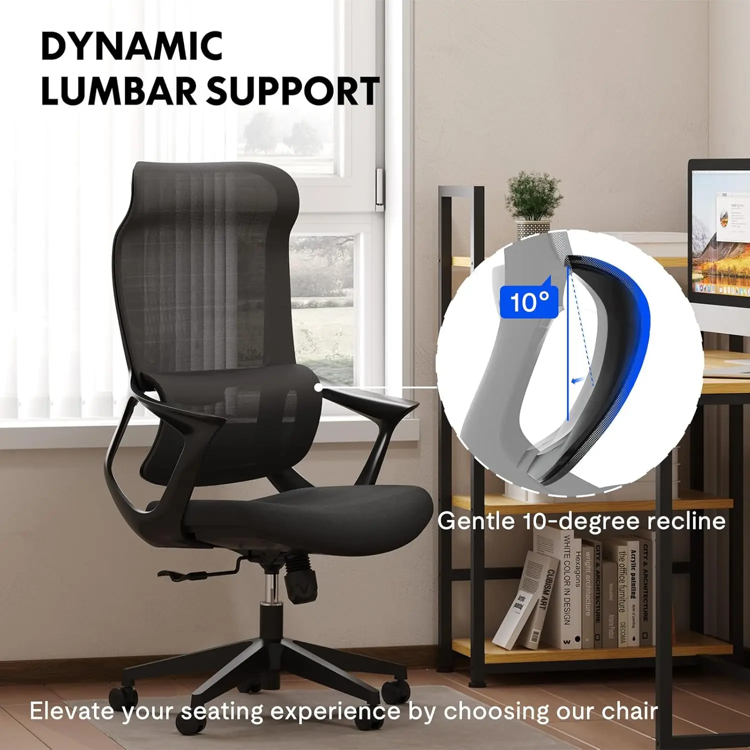 Office Chair with Dynamic Adjustable Lumbar Support Big and Tall Office Desk Chair Comfy Chair for Home Office OC2 (Black)