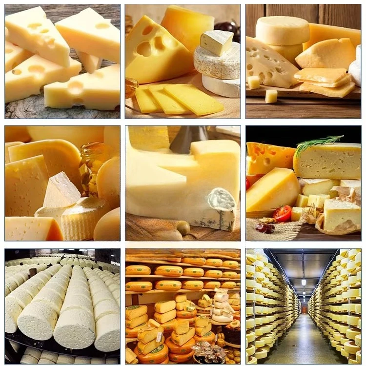 High Quality Feta Cheese Make Machine Cheese Press Machine Small Scale Cheddar Cheese Production Line view 3