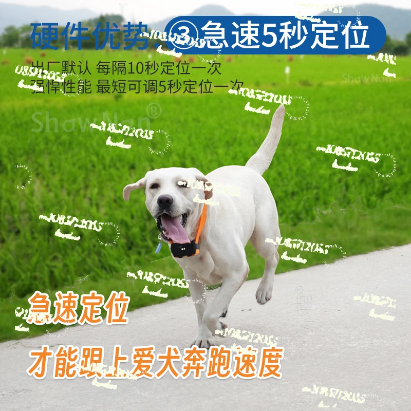 GPSペット犬用衛星ロケータートラッカー首輪、北斗ファインダ - Gps Tracker Cattle Collar のレビューと価格
