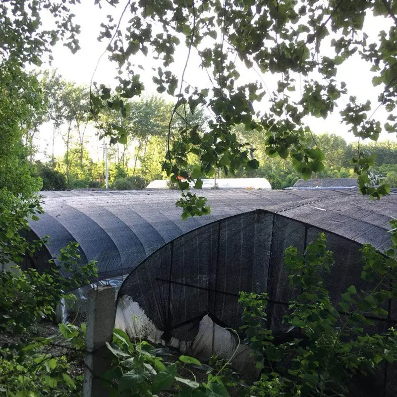 Filet pare-soleil HDPE noir an - Agriculture Farming Net avis et prix