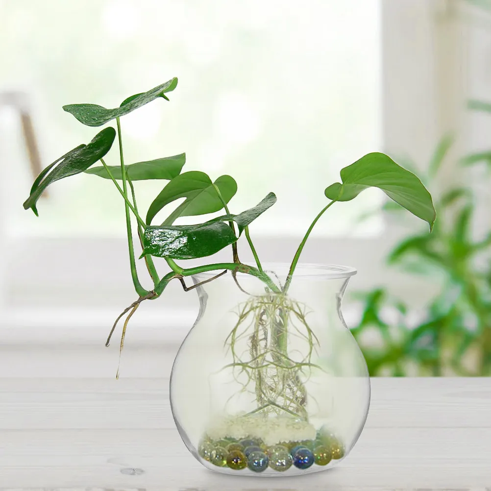 8Pcs Micro Landscape Hydroponic Plant Pots Clear Unbreakable Succulent Planters for Desk Bookshelf Home Decor Terrarium