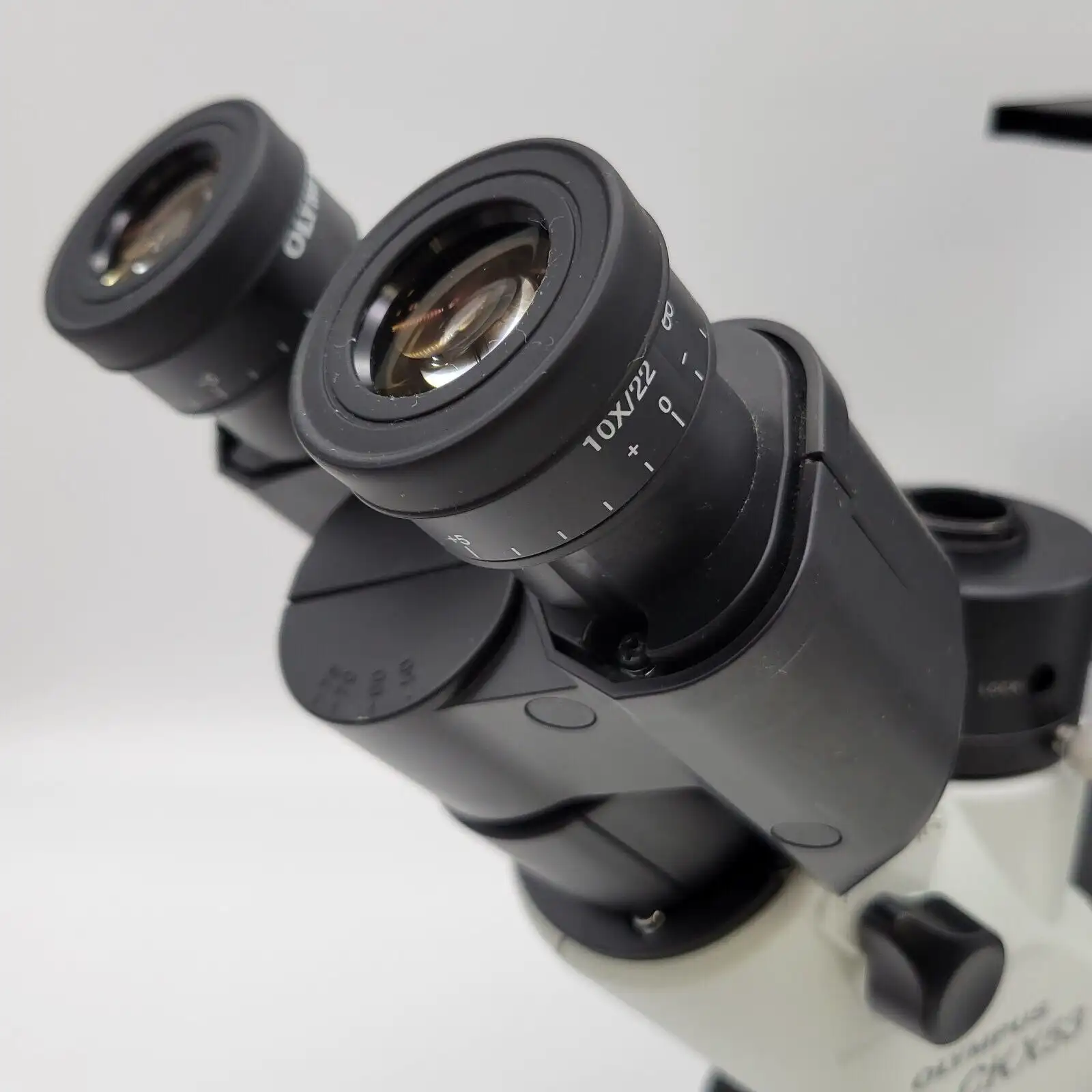 Olympus CKX53 Inverted LED Phase Contrast Microscope