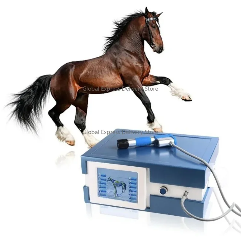 

Equine shockwave therapy machine horse shock wave therapy machine 8 bar 21hz 7 pieces applicator heads shock wave for animals