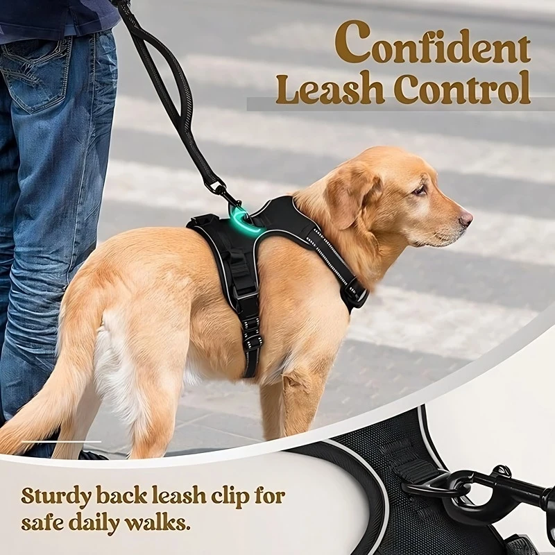 Dog leash, pet harness, nylon dog leash, large dog harness, pet supplies factory wholesale
