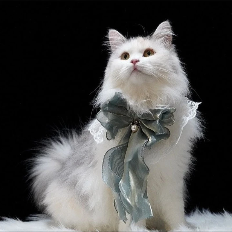 

Pet series, small and medium-sized pet necklaces and bracelets, bow-style cat and dog accessories with designs