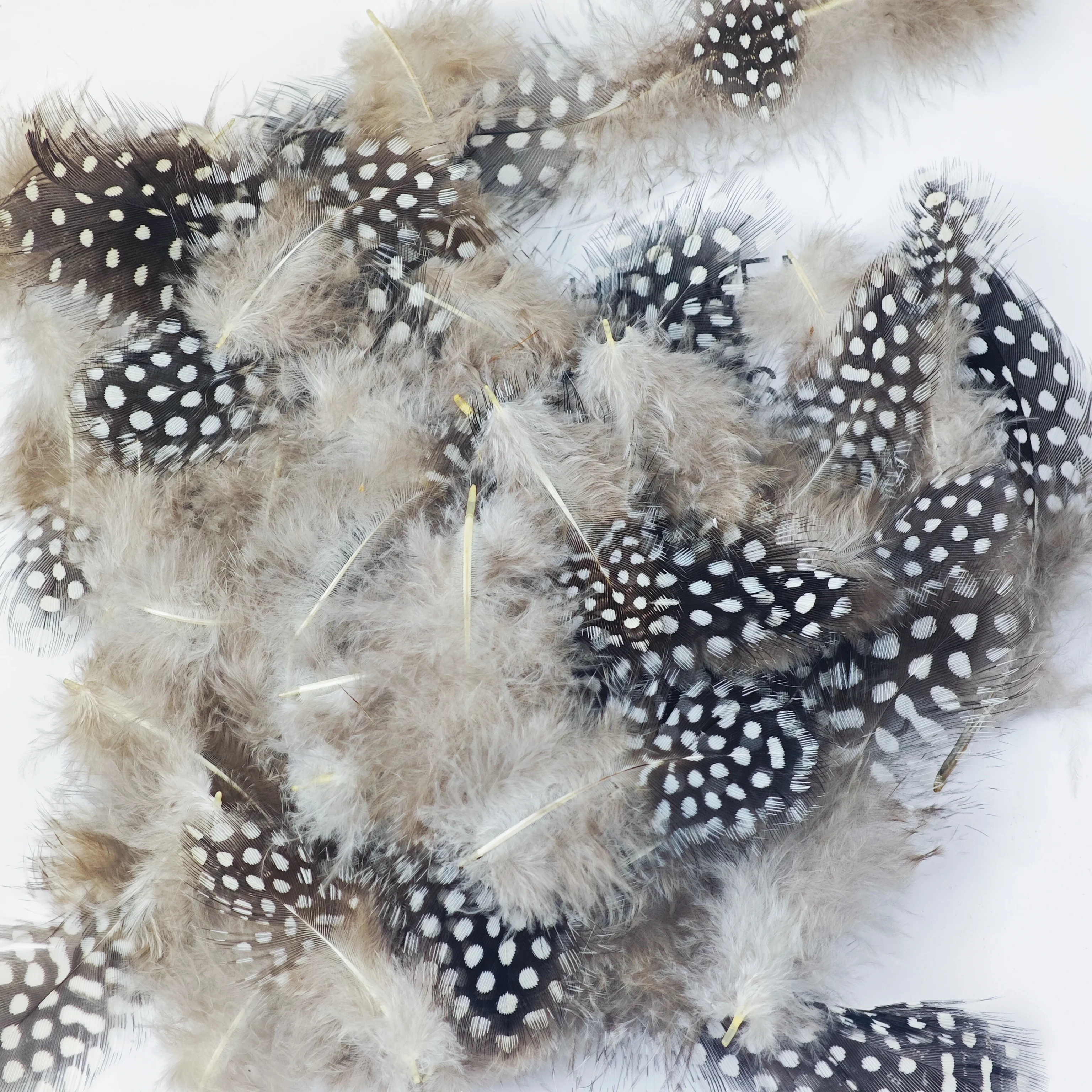 الجملة الطبيعية 50 قطعة 5-15 سنتيمتر الدراج ريشة اللؤلؤ ريش الدجاج للحرف اليدوية صنع المجوهرات اكسسوارات أعمدة الديكور #3