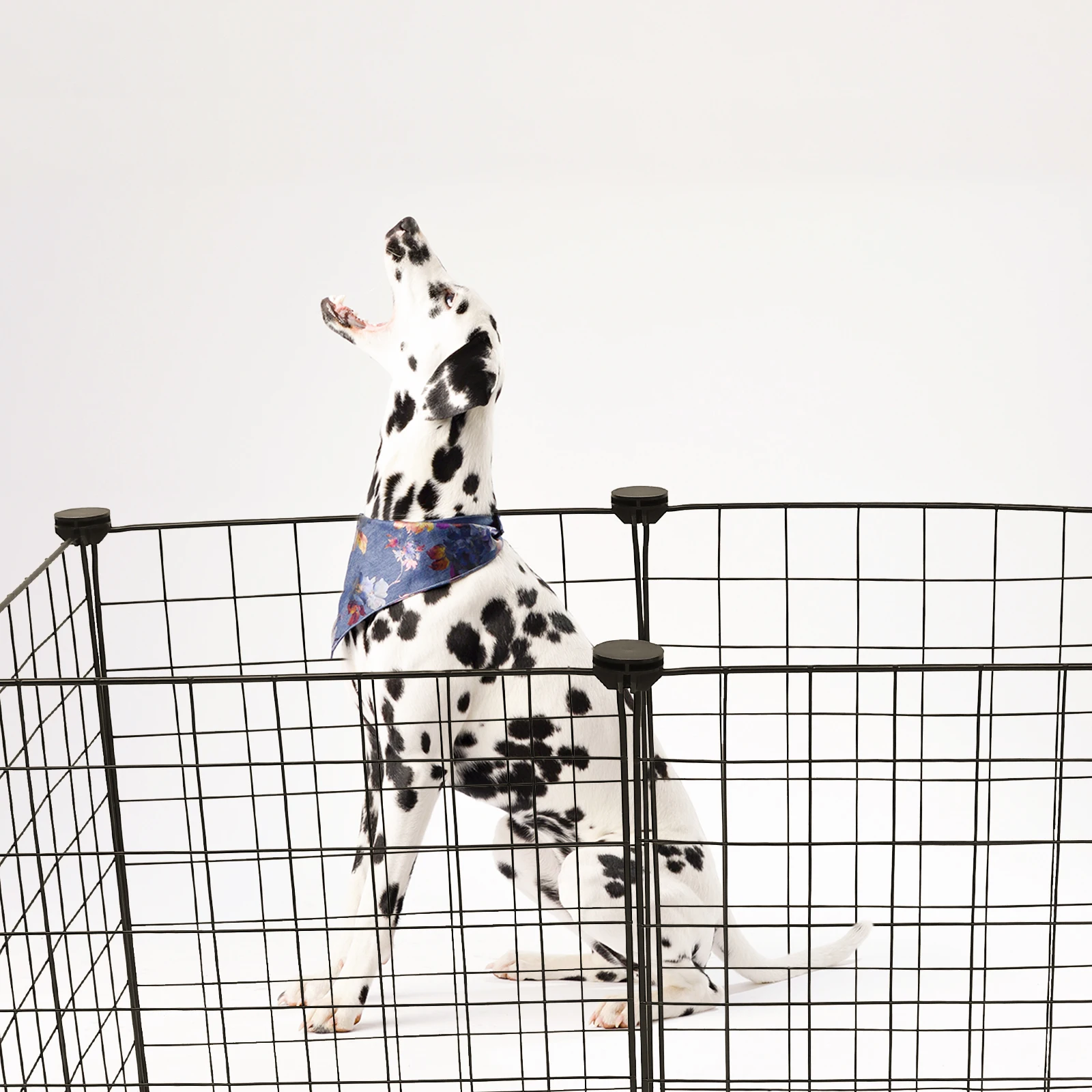 

1Set Metal Pet Barrier Dog Wire Crate Adjustable DIY Kennel Playpen Bite Resistant Wire Cage Cat Cage Cat Playpen