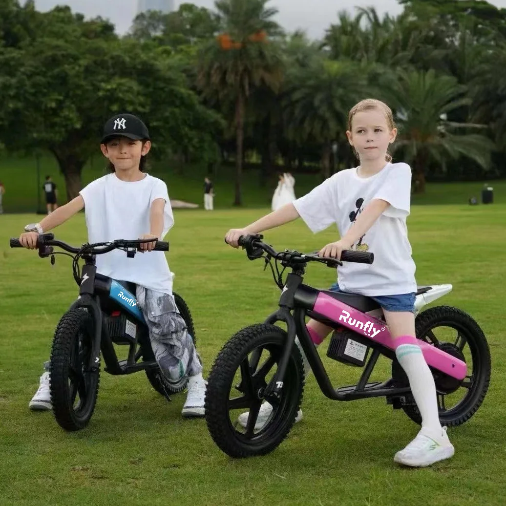 

24V 300W Disc brake Kids Electric Dirt Bike High-Torque Motorcycle For Ages 6-14, 3 speeds(12-20-30km/h) single/double seats