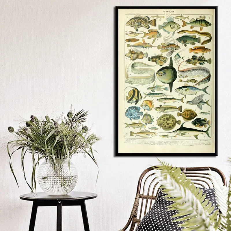 Ocean Sea Shell Fish Animal Chart, Print Art Canvas Poster,Living Room Decor, Home Wall Picture